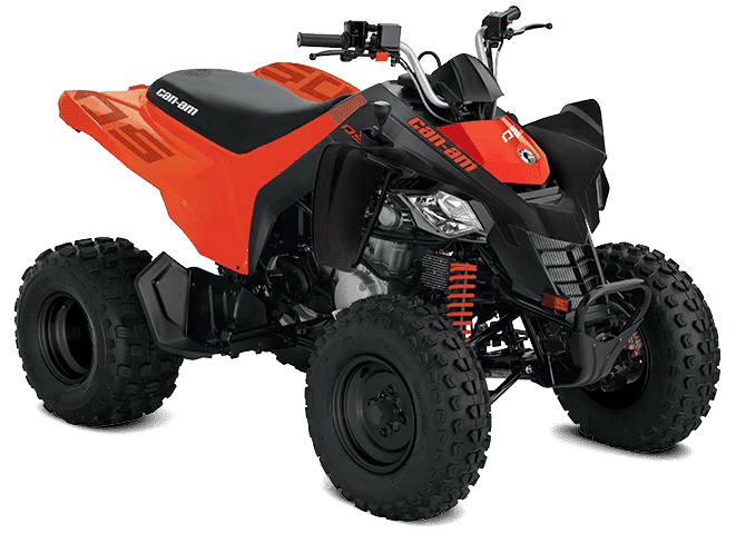 Can-Am DS 250