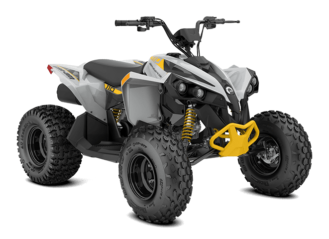 Can-Am Renegade 110 EFI