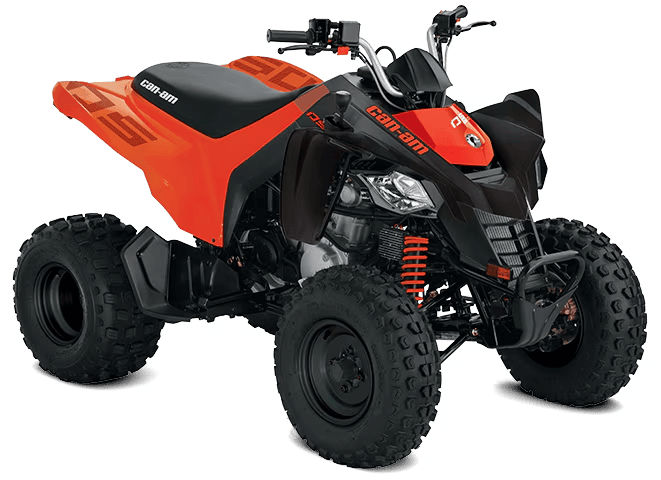 Can-Am DS 250