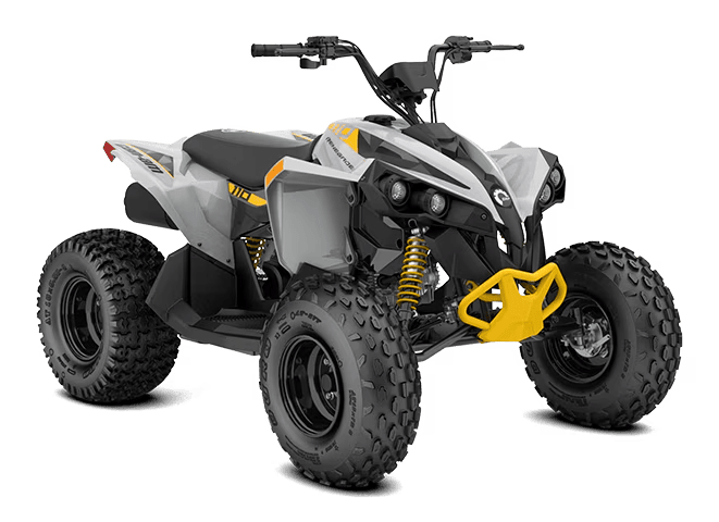 Can-Am Renegade 110 EFI