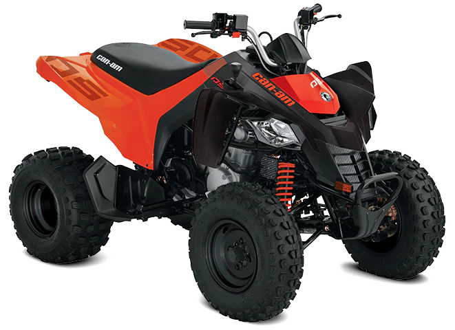 Can-Am DS